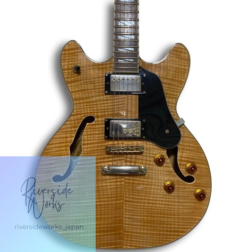 Washburn semi hollow - hb-35, nk