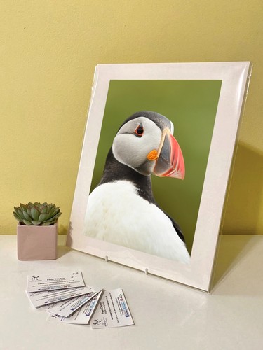 Art print image picture - print,