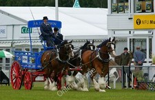 Photo 12x8 The South of