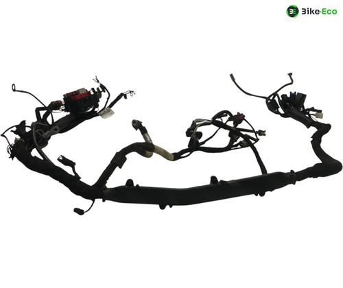 Electric harness buell xb9s - electric,