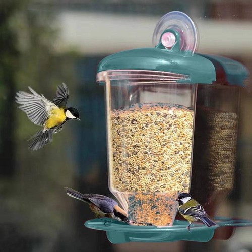 Outdoor bird feeder - bird, window