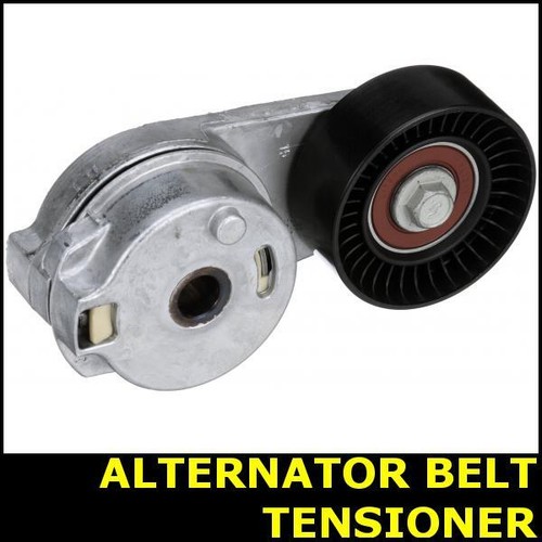 Ribbed belt tensioner - ribbed,