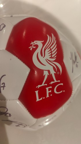 Liverpool women signed - women's, fc