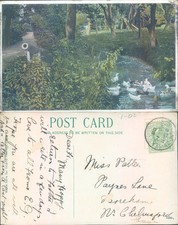 The brook in a wooded area