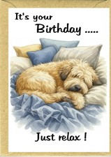 Soft Coated Wheaten Terrier