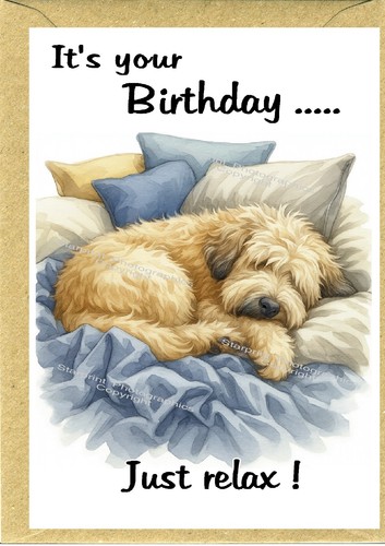 Soft coated wheaten terrier - soft,