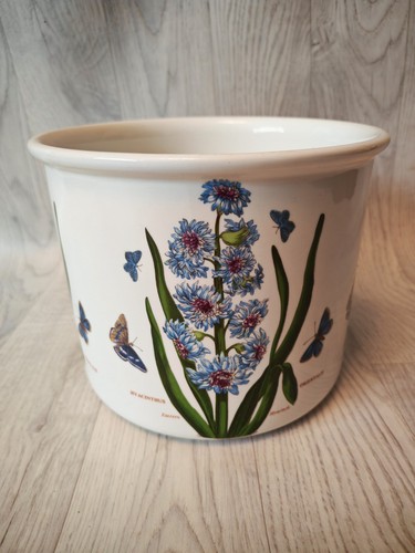Portmeirion botanic garden - garden, 7"