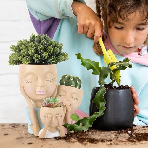 Cute plants head pots face - plants,