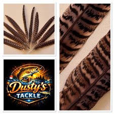 Hen Pheasant Tail Feathers