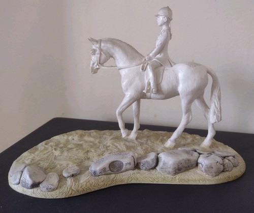 Rare northlight show pony - show,