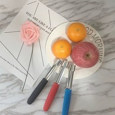 Stainless steel apple corer - steel, &