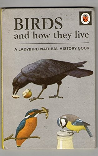 Birds and how - and, they