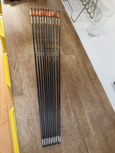 Easton x10 protour arrows 520 - protour,