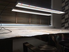 2x Spider Farmer SF600 LED Indoor Grow lights for Seedling Veg Plants