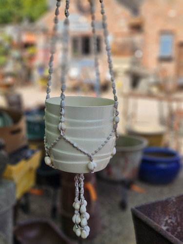 Vintage hanging shell - shell, plant
