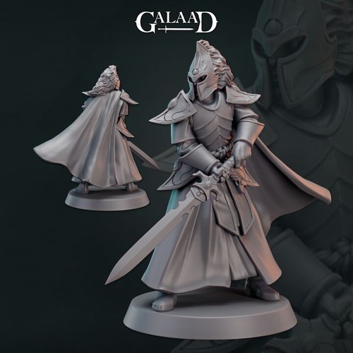 Elite elf knight elven - -,