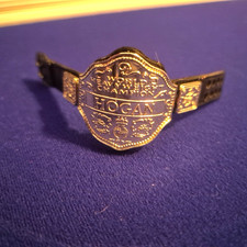 WWE WCW Hulk Hogan Belt World