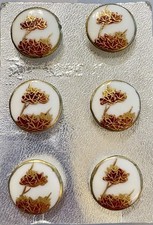 Japanese Traditional SATSUMA