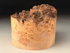 Live Edge Burr Elm Resin