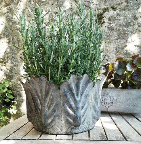 Garden metal leaf - metal, planter