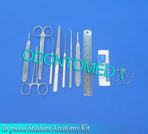 Pieces student anatomy kit - 18,
