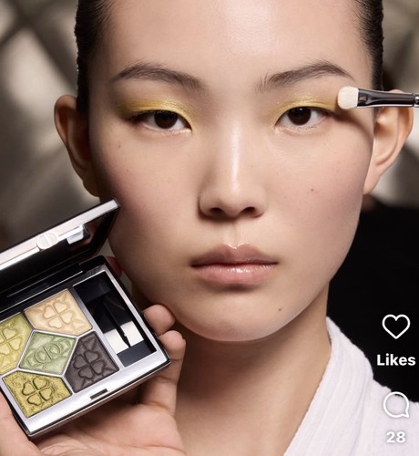 Dior diorshoe couleurs - dior,