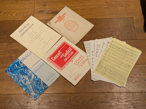 Bundle vintage flute - bundle, music