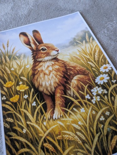 British wild hare wildlife - british,
