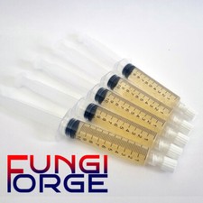 20ml Blue Oyster Mushroom Liquid Culture