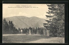 Old postcard Turini, Plateau de la Calmette et l'Aution 1909 