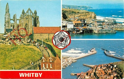 Picture postcard whitby - picture, postcard:-whitby