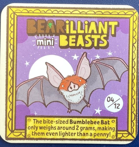 Bear yoyo bearilliant - yoyo, mini