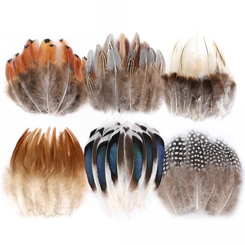 Pheasant craft feathers - feathers,