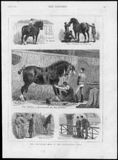1880 - Antique Print LONDON Agricultural Hall Cart-Horse Show Harness  (252)