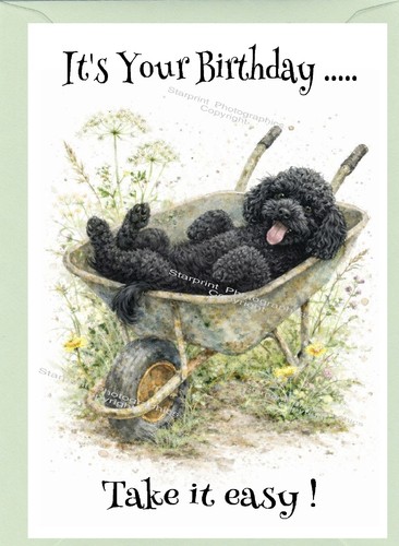 Poodle black dog birthday card - poodle,