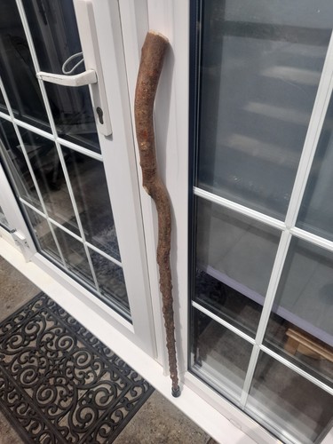 Rustic walking stick - rustic,