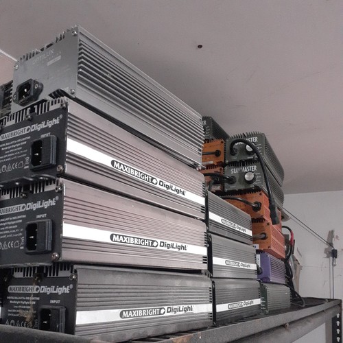 600w digital grow light kit - grow,