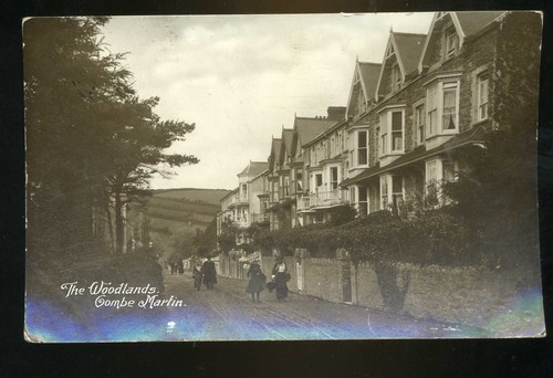 Combe martin the woodlands - the,