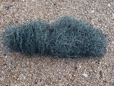 50m Hotline Poultry Net 1.1m -