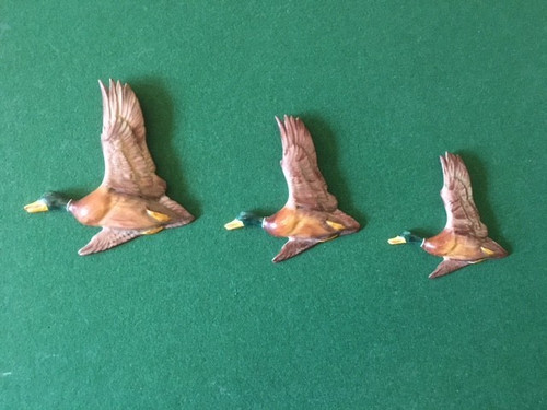 Midwinter flying ducks - wr, ducks.