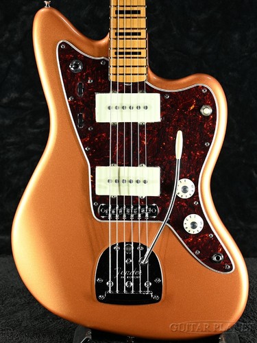 Fender troy van - fender, leeuwen