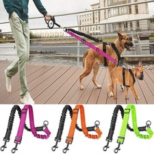 Double Dog Lead Splitter Dual
