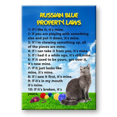 Russian blue cat property laws - property,