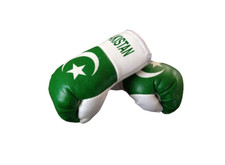 Pakistan Mini Boxing Gloves