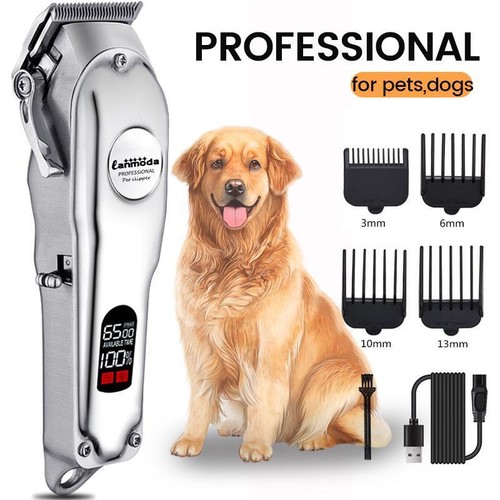 Professional dog hair - dog,