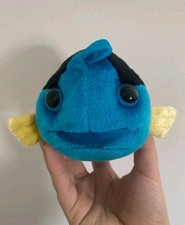 ZSL London Zoo Small Blue Tang