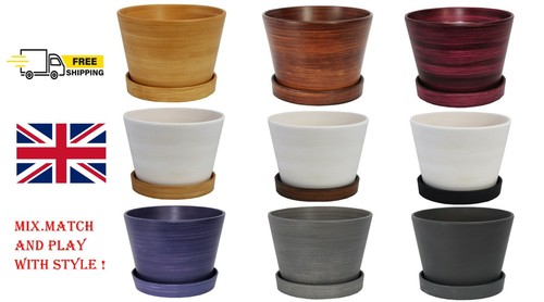 Ceramic plant pots - plant, with