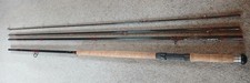 Daiwa amorphous whisker - daiwa, 15'6"