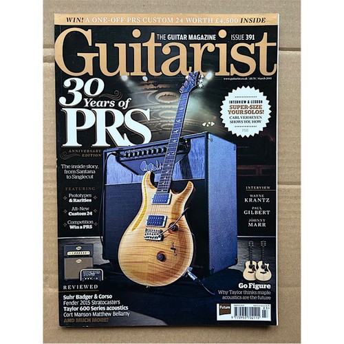 Various guitar guitarist - guitarist, #391