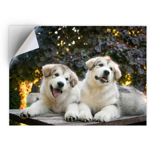 Vinyl sticker alaskan - 1,
